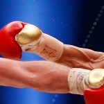 Boxe – Championnat du Monde WBA et WBO des poids lourds