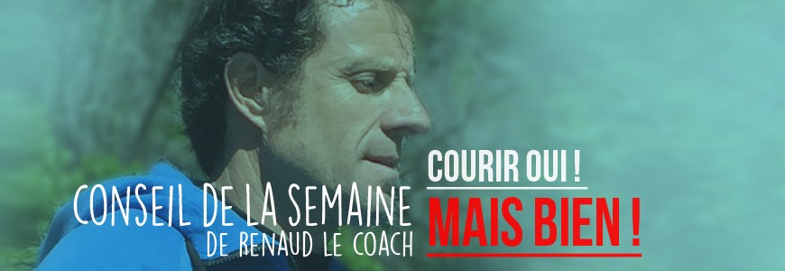 BANDEAU CONSEIL RENAUD 4
